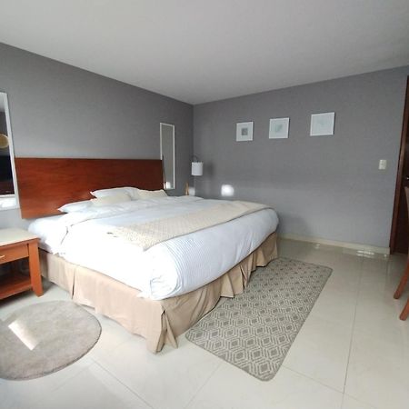 Residence L'Heritage Aristoteles 140 By Bluebay مدينة مكسيكو المظهر الخارجي الصورة
